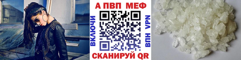 Alfa_PVP СК Тара