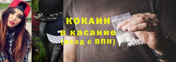 крисы Пересвет
